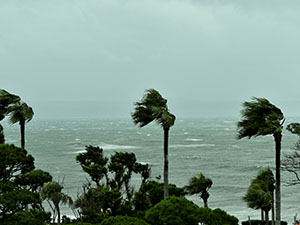 台風に備える